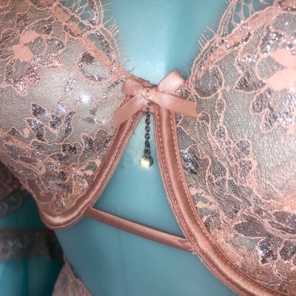 Victoria’s Secret Allure Shine Evening Blush Bra /Garter/Cheekini Set NWT 38DDD - Picture 11 of 14
